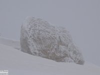 2018-01-13 M. Orsello 205